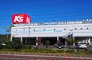 ケーズデンキ東仙台店(電気量販店/ホームセンター)まで450m アグーリ