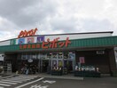 生鮮食品館ピボット(スーパー)まで270m シティハイツ銀杏町