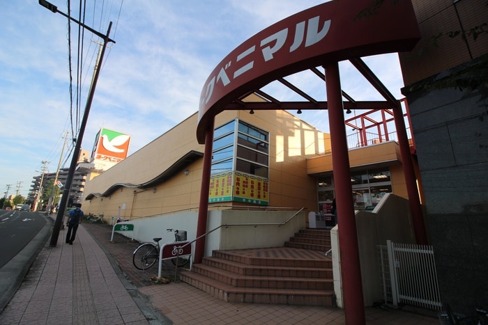 ヨークベニマル真美沢店(スーパー)まで1100m ザ・フォレスティ