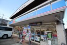 ローソン　仙台川内三十人町店(コンビニ)まで290m リバ－サイドハイツ