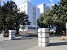 東北大学 星陵キャンパス(大学/短大/専門学校)まで290m 桜田ハイツ