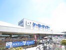 ケーヨーデイツー新田東店(電気量販店/ホームセンター)まで750m ｱﾌｫﾘｽﾃ-ｼｮﾝ新田東ｲ-ｽﾄ