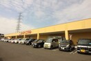 ヨークベニマル利府店(スーパー)まで550m 藤ハイツ