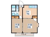 グレース鹿野