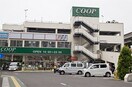 みやぎ生協新寺店(スーパー)まで1500m アトレー成田町