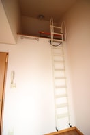 ロフト サンフラワー・M