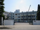 七郷中学校(中学校/中等教育学校)まで430m ファミールエセナＤ