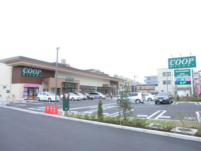 みやぎ生協長町店(スーパー)まで650m Brio Terrace 長町南