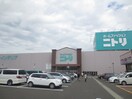 ニトリ松森店(電気量販店/ホームセンター)まで300m レジデンス仙台泉