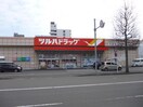 ツルハドラッグ 大和町東店(ドラッグストア)まで400m Fine Court 仙台卸町