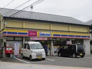 ミニストップみずほ台店(コンビニ)まで500m ヒルメゾン壱番館