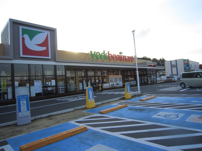 ヨークベニマル　真美沢店(スーパー)まで875m サンガーデン高柳