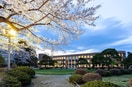 東北大学(大学/短大/専門学校)まで350m カルロ北目