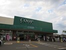 みやぎ生活協同組合新田東店(スーパー)まで850m 新田東レジデンス五番館