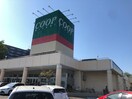 コープ生協　桜ヶ丘店(スーパー)まで1100m コ－ポ東勝山