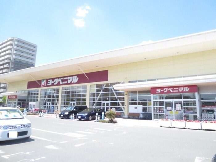 ヨークベニマル(スーパー)まで1110m リアーレ新田