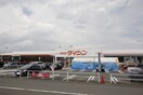 ダイシン岩沼店(電気量販店/ホームセンター)まで2900m グランドフォンティーヌA