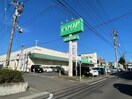 みやぎ生協南小泉店(スーパー)まで172m ポミエ・ＫｏＫｏ中倉