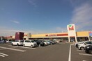ヨークベニマル市名坂(スーパー)まで1600m セントヒルズ仙台(C216)