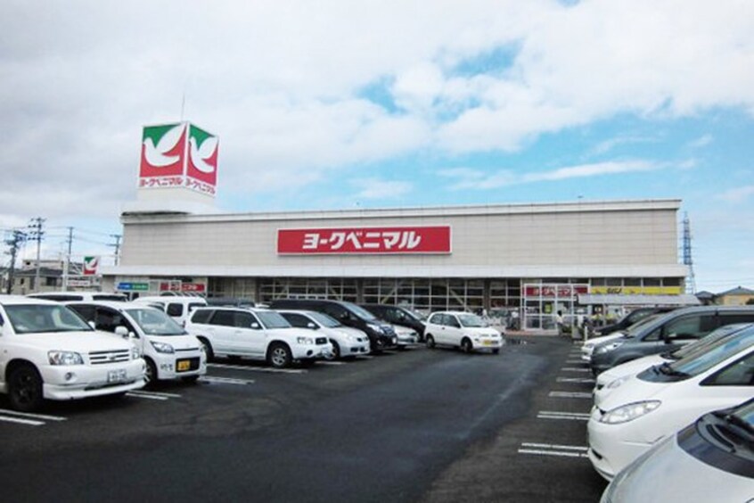 ヨークベニマル 遠見塚店(スーパー)まで850m アルファコ－トＡ棟