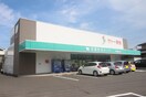 （株）サトー商会 中野栄店(スーパー)まで140m カーサ・イトウA棟