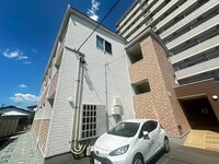 ブルーリーフ苦竹