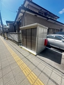 その他 ブルーリーフ苦竹