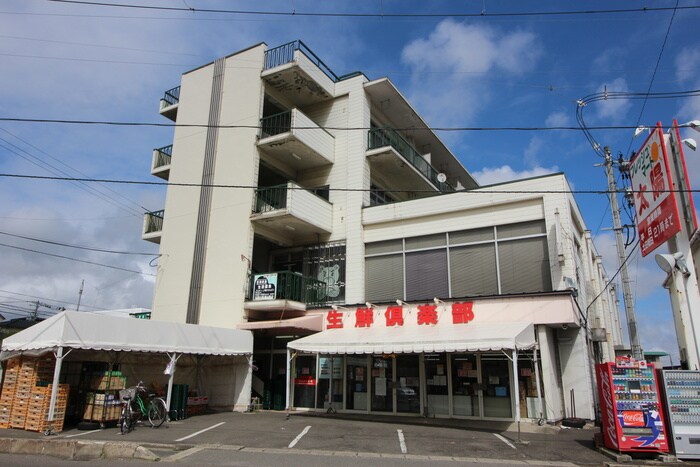 株式会社フレッシュマート太陽東仙台店(スーパー)まで510m 東仙台リトルパイン