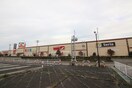 ヨークベニマル(スーパー)まで2200m NJ羽黒台Ⅱ
