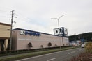 ケーヨーデイツー(電気量販店/ホームセンター)まで2100m NJ羽黒台Ⅱ