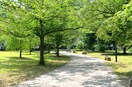 錦町公園(公園)まで150m 第七旭コーポラス(402)