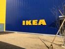IKEA(ショッピングセンター/アウトレットモール)まで870m 吉耕ハイツ