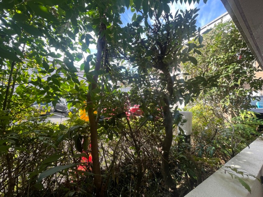 室内からの展望 ＮＩＴＴＯ21壱番館