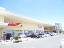 ツルハドラッグ新田東店(ドラッグストア)まで750m ｱﾌｫﾘｽﾃ-ｼｮﾝ新田東 ｳｴｽﾄ