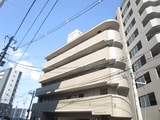 サンクレスト・ベア