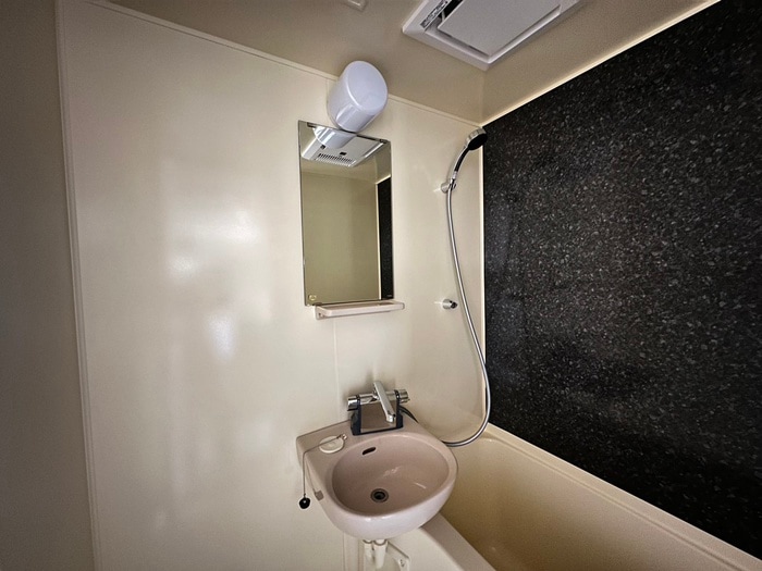 洗面 ハイム向山