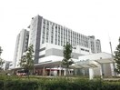 仙台市立病院(病院)まで600m D-room　Dearcourt　八本松