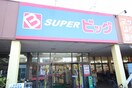 スーパービッグ原町店(スーパー)まで430m ﾊﾞｰｸﾚｰﾊｲﾂ