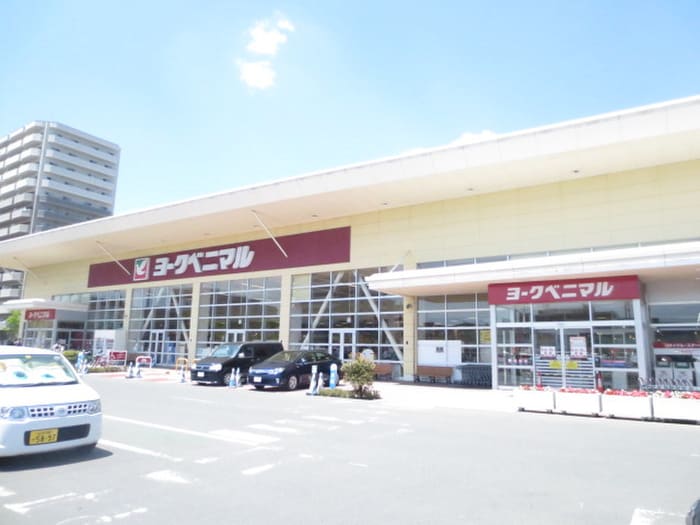 ヨークベニマル新田東店(スーパー)まで380m ＨＩＬＴＯＮ９１０　Ｃ