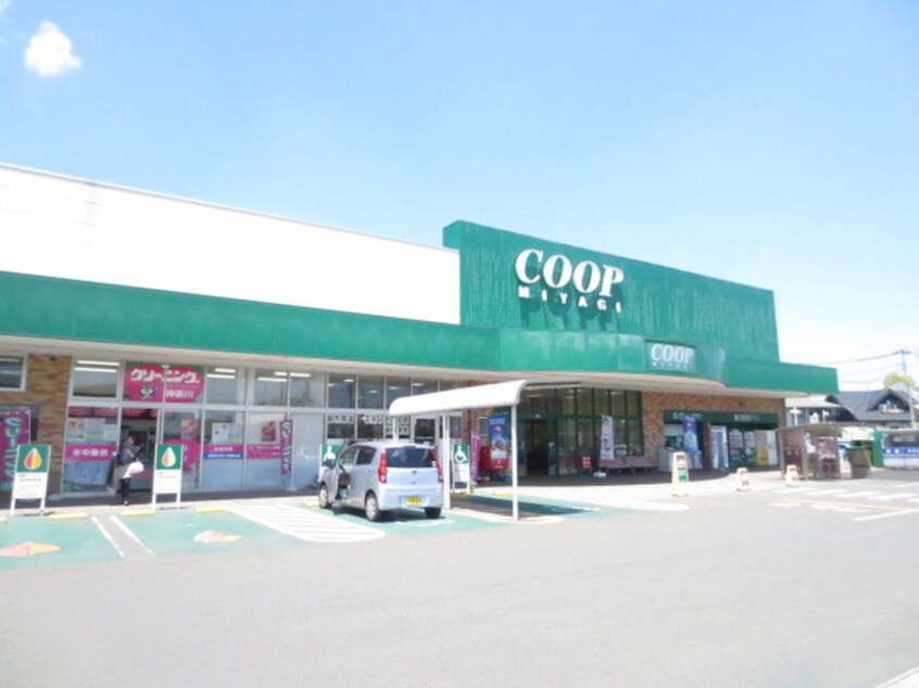 ＣＯＯＰ新田東店(スーパー)まで347m MS　CUBE