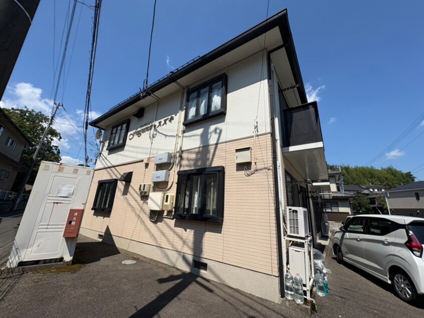 その他 フレグランススズキ