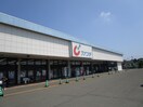 カワチ(スーパー)まで821m フレグランススズキ