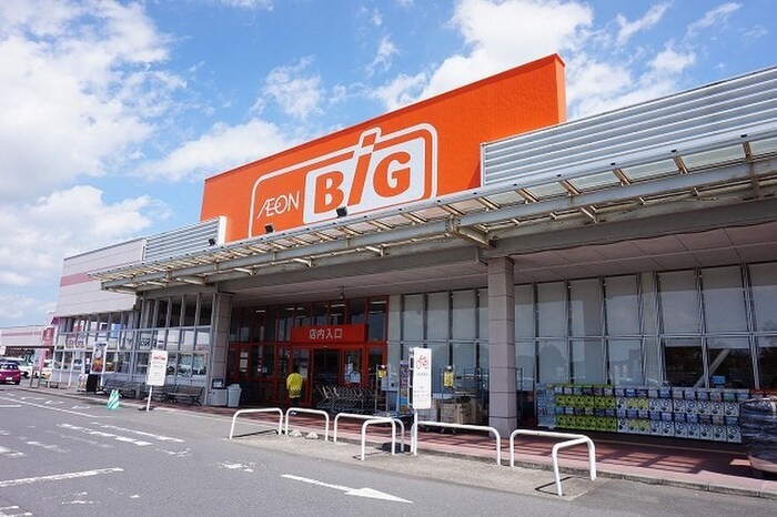 イオンスーパーBIG(コンビニ)まで1210m メゾンコリーナ