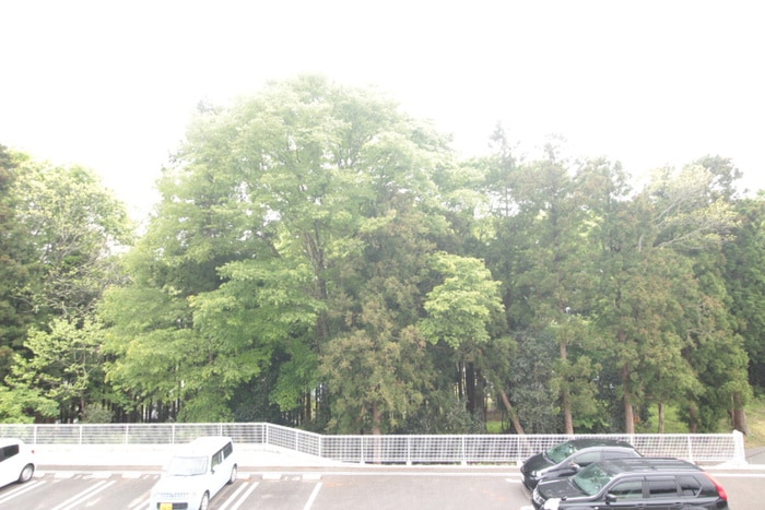 室内からの展望 ウエストスワンプＣ