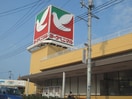 ヨークベニマル多賀城市野田店(スーパー)まで1300m ウエストスワンプＣ