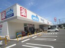 ウエルシア 本塩釜駅前店(ドラッグストア)まで1000m ネイビー小松崎