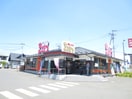 和風レストランまるまつ新田東店(その他飲食（ファミレスなど）)まで260m ｱﾌｫﾘｵｽﾃｰｼｮﾝﾉ-ｽ弐番館