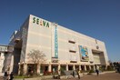 セルバ泉中央店(デパート)まで450m スクエアプレイス