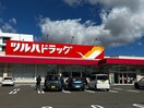ツルハドラッグ名取バイパス店(ドラッグストア)まで1000m ホープシティ名取