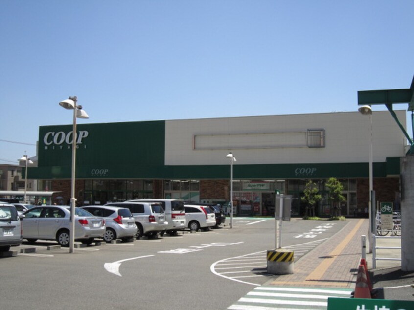 ＣＯＯＰ榴岡店(スーパー)まで360m 二軒茶屋グランドハイツ